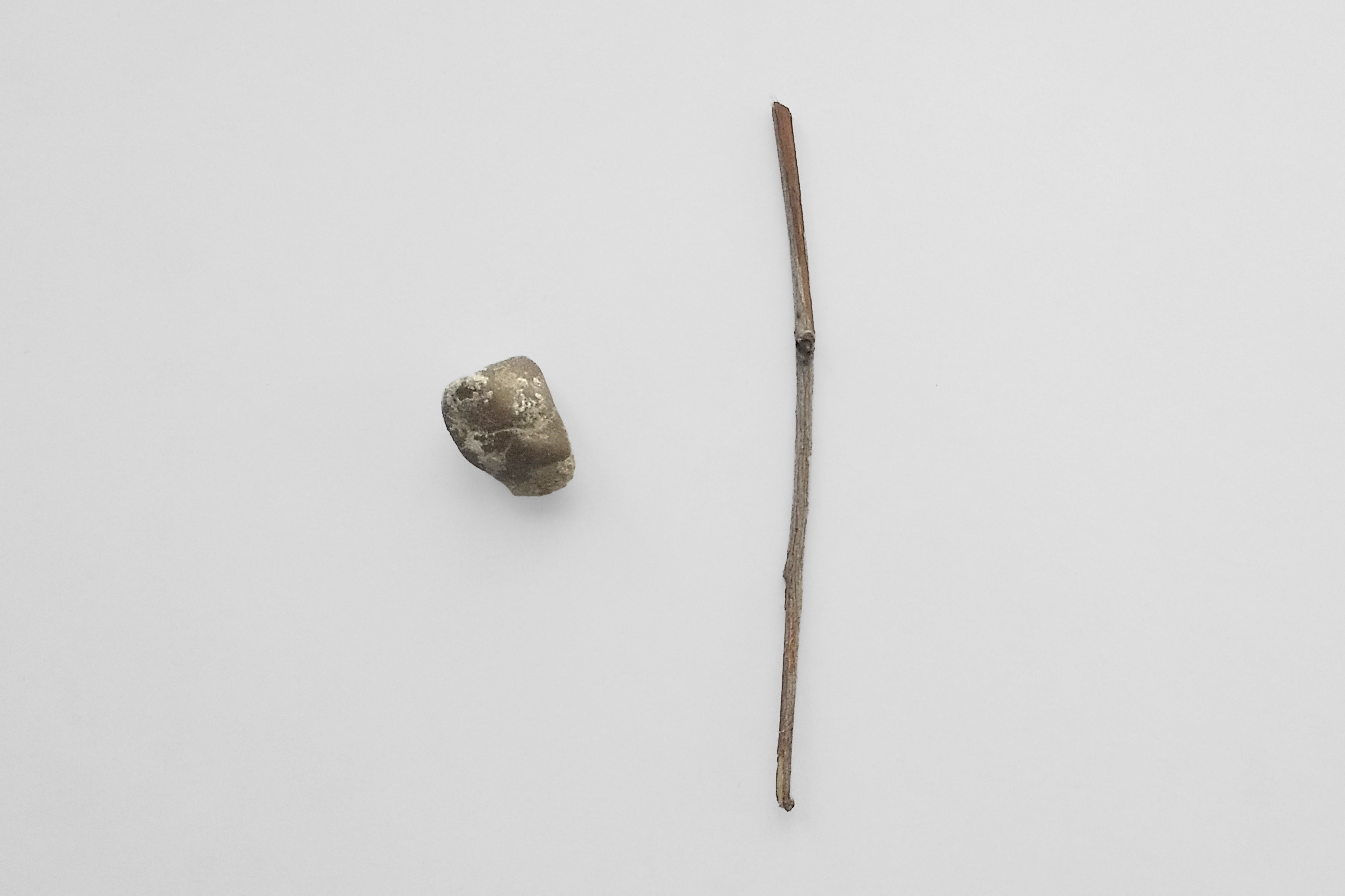 Una piedra y un palito