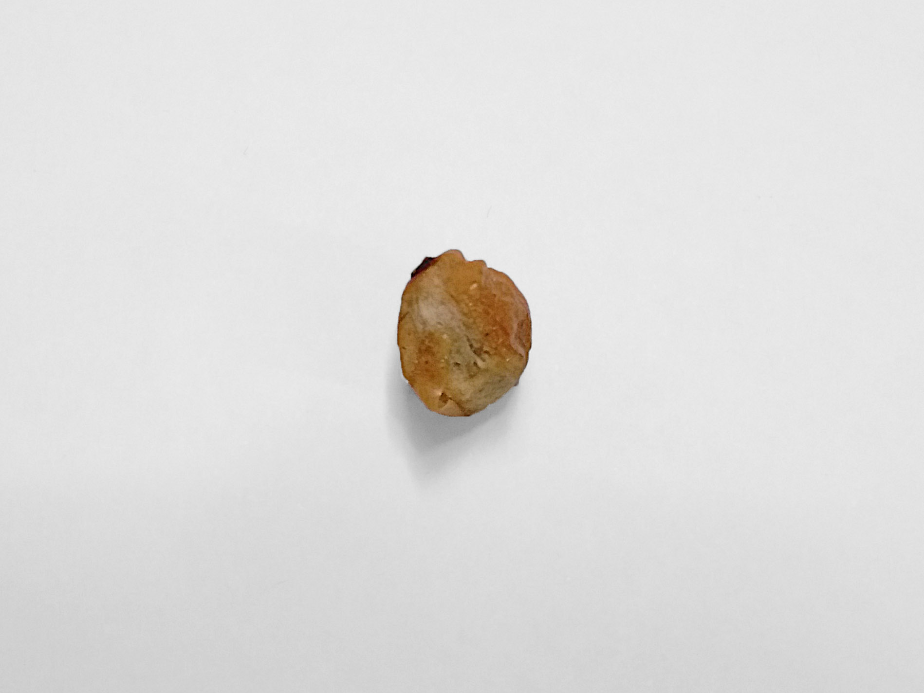 Bola de árbol cochambrosa