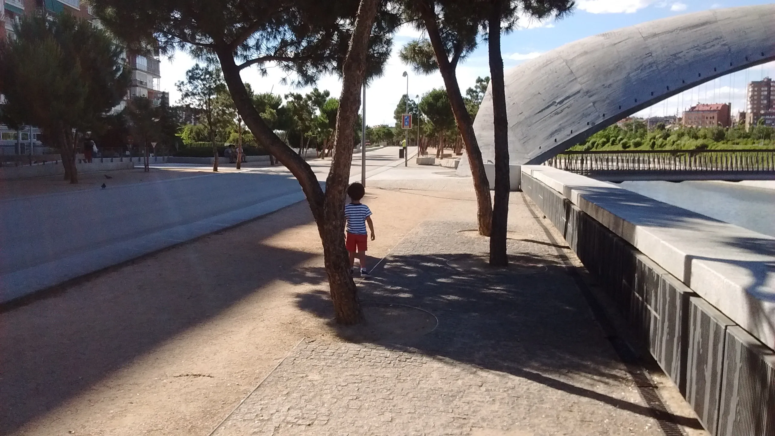 Árboles con dos piernas